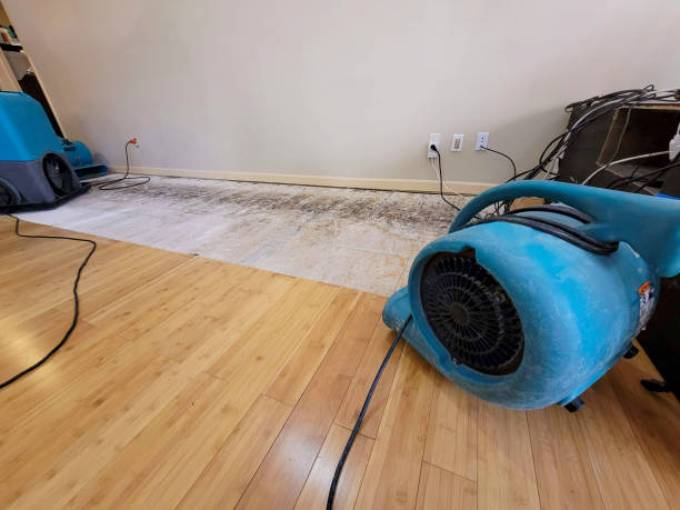 Professional Ceiling Water Damage Repair technician working in Edison, OH