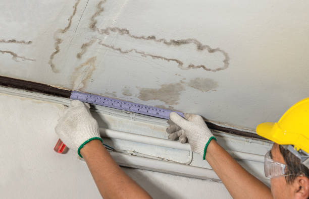 Affordable Ceiling Water Damage Repair solutions in Edison, OH